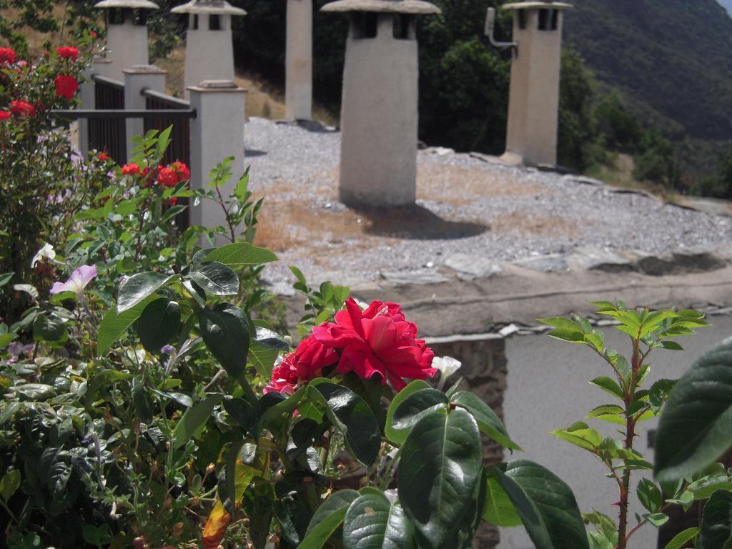 La Ermita Del Poqueira Apartment บูบิยอน ภายนอก รูปภาพ